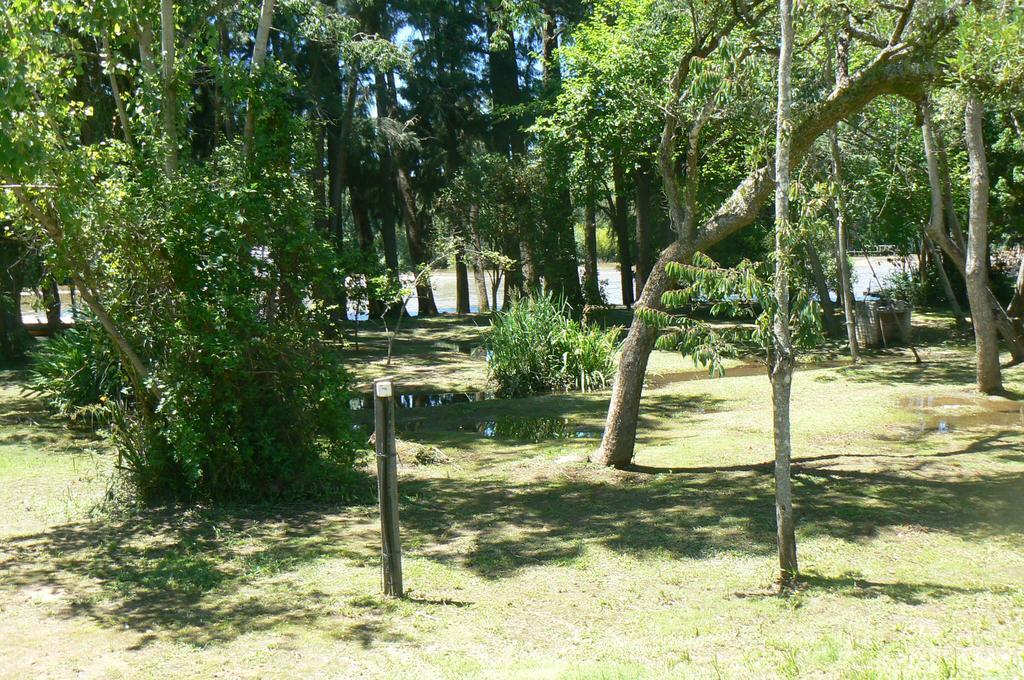 Posada Barlovento Tigre Zimmer foto