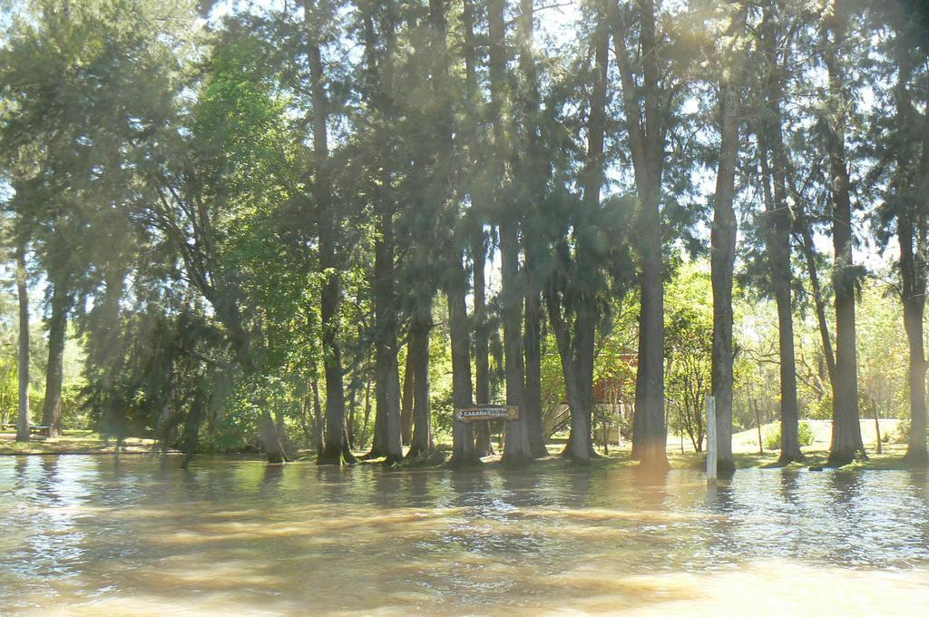 Posada Barlovento Tigre Zimmer foto